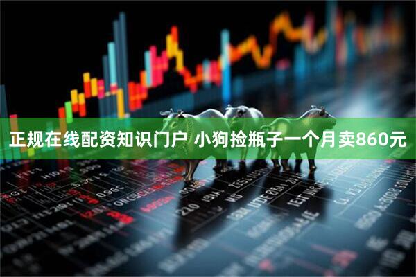 正规在线配资知识门户 小狗捡瓶子一个月卖860元