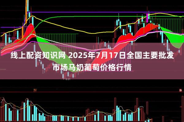线上配资知识网 2025年7月17日全国主要批发市场马奶葡萄价格行情