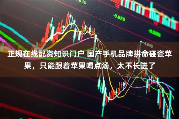 正规在线配资知识门户 国产手机品牌拼命碰瓷苹果，只能跟着苹果喝点汤，太不长进了