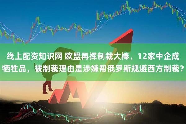 线上配资知识网 欧盟再挥制裁大棒，12家中企成牺牲品，被制裁理由是涉嫌帮俄罗斯规避西方制裁？
