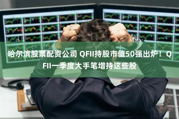 哈尔滨股票配资公司 QFII持股市值50强出炉！QFII一季度大手笔增持这些股